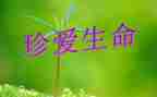 我生命中的良师的作文8篇