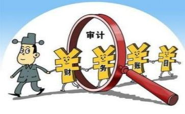 审计的调查报告8篇