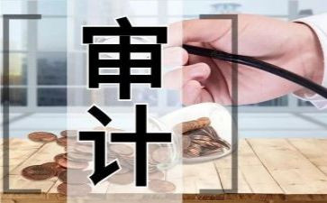 2024年审计工作个人总结通用8篇
