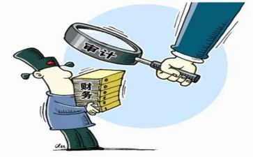 2024年审计工作个人总结精选7篇