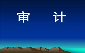 审计领导讲话稿6篇