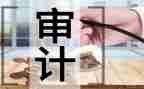 2024年审计工作个人总结通用8篇
