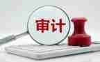年报审计的工作总结8篇