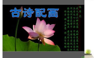 古诗词心得体会5篇