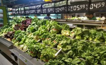市场就业调研报告6篇