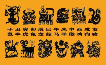大班语言课十二生肖教案精选7篇
