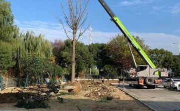2024年施工个人总结范文7篇