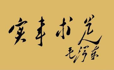 干实事心得7篇
