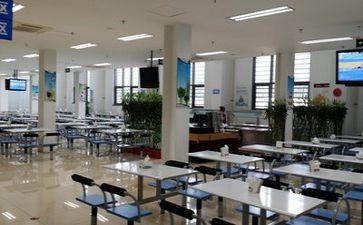 食堂的调查报告优质5篇
