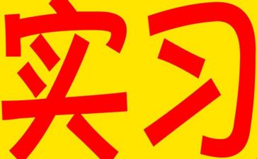 保育实习心得体会7篇