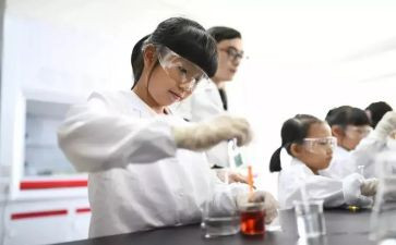 实验师工作总结最新8篇