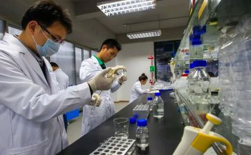 试验检测的工作总结5篇