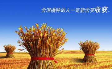 在劳动中收获的作文7篇