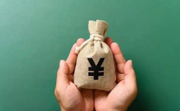 2024居民收入调查报告7篇