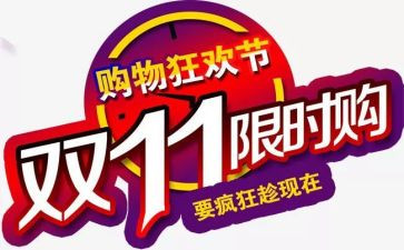 双11调研报告精选5篇