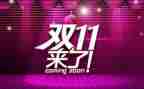 双11仓库工作总结参考8篇