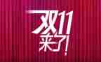 双11调研报告推荐5篇