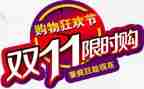 双11调研报告精选5篇