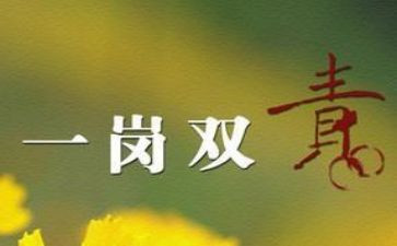 一岗双责工作报告5篇