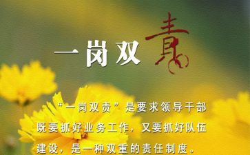 一岗双责的述职报告7篇