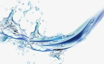 水母教案7篇