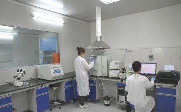 水化验工作总结8篇