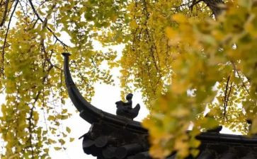 寺管干部参加培训心得体会8篇