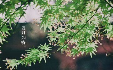大班四月总结5篇