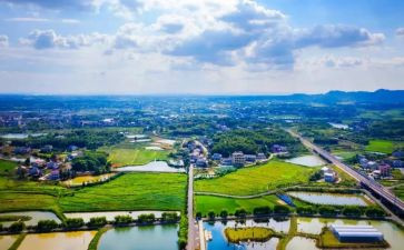 2024年特岗教师工作总结通用5篇