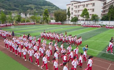 球体育活动教案参考8篇