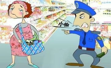 警察捉小偷的作文8篇