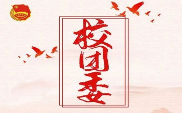教学院团委工作总结8篇