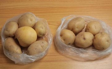 拌土豆作文优质5篇