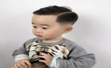 猫王子读后感5篇