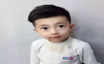猫王子读后感最新6篇