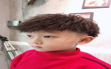 猫王子读后感参考5篇
