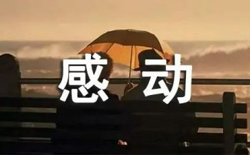 那一次我真感动作文500字7篇