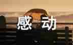 感动的爱作文500字精选8篇