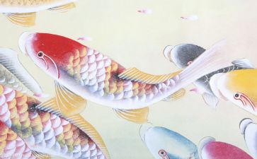 舜文化心得体会通用6篇