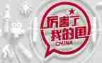 我的国观后感7篇
