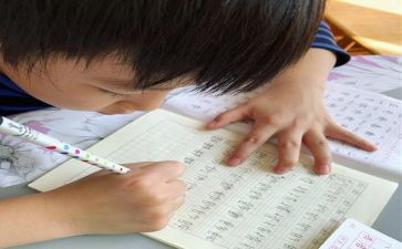 我想变成马的作文推荐8篇