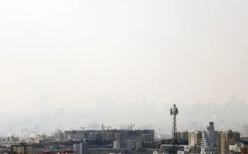 污染调查报告最新8篇