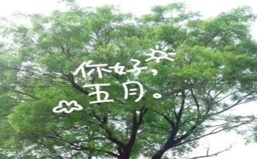 五月教学总结7篇