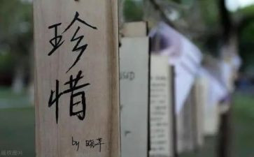 不珍惜作文600字参考7篇