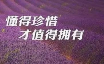 珍惜的作文600字作文精选5篇