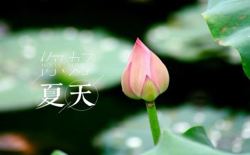森林报·夏读后感优质7篇