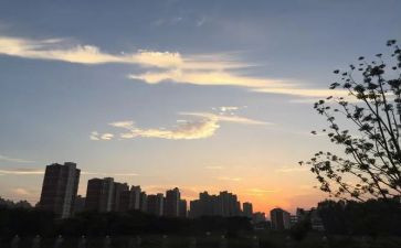 小班下班级工作计划推荐5篇