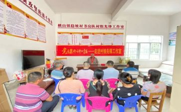 青少年先锋队入队申请书5篇