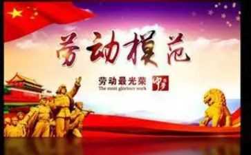 银行老员工先进事迹8篇