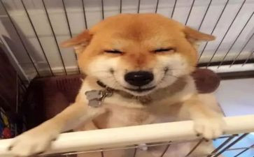 笑为主题的作文500字6篇